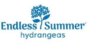 Endless Summer® Summer Crush® | Reblooming Compact Hydrangea