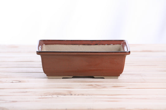 Willow Bonsai Ceramics Rectangle Bonsai Pot – 8 Inch (Sunset)
