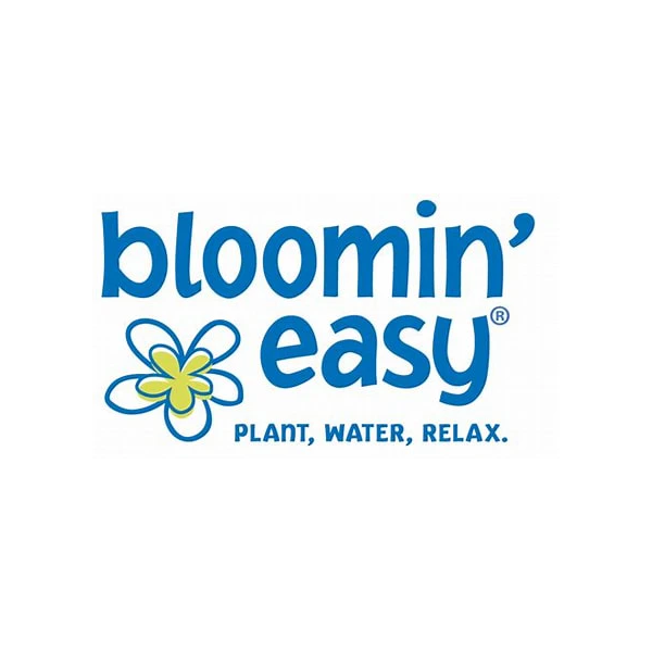 Bubble Bath™ Hardy Hydrangea | Hydrangea paniculata 'Bokomabou'