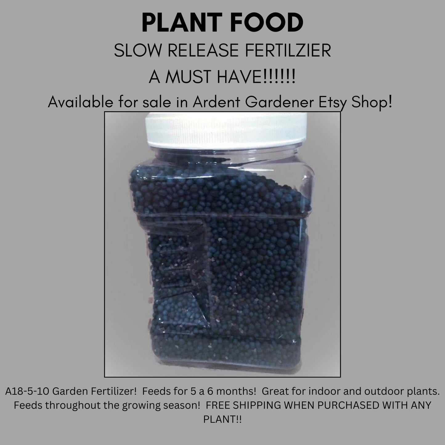 Bald Cypress Tree, Taxodium distichum, house plants, plant lover gift, rare Gift for Plant lovers, forest wild tree, decorative Plant