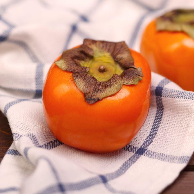 Hanna Fuyu Persimmon Tree | Diospyros kaki | Sweet, Non-Astringent Fruit | Grown in 10 inch by 4 by 4 inch containers | Tree Band Size pots