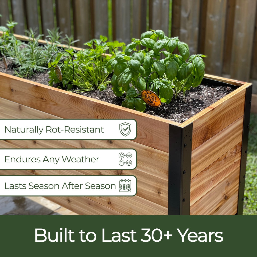 18" x 60" Planter Box - 24" TALL / Select Grade