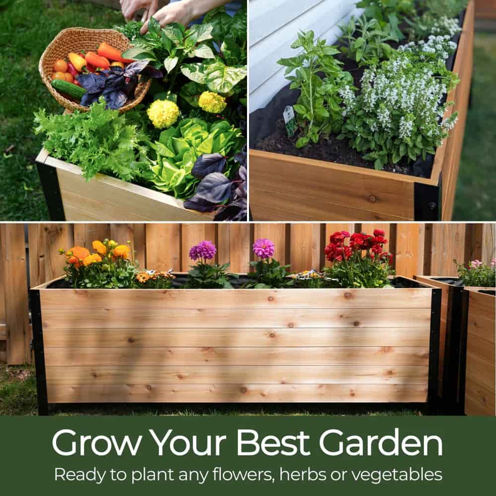 18" x 36" Planter Box - 24" TALL / Select Grade