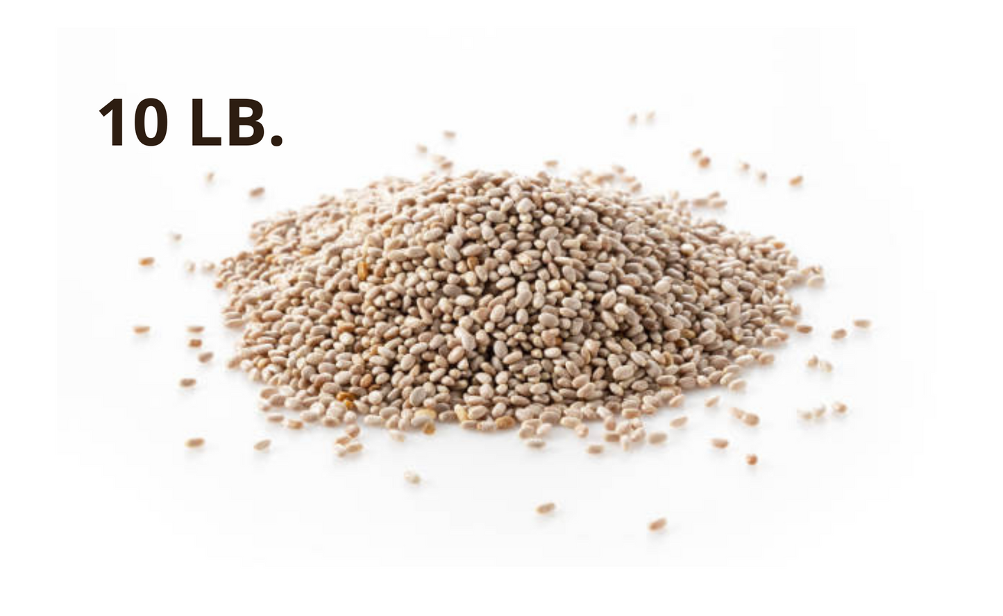 White Chia Seeds – Organic, Non-GMO | 10 lb. Bulk