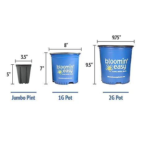 Kimono™ Red Reblooming Compact Hydrangea Shrub | Bloomin’ Easy® Collection