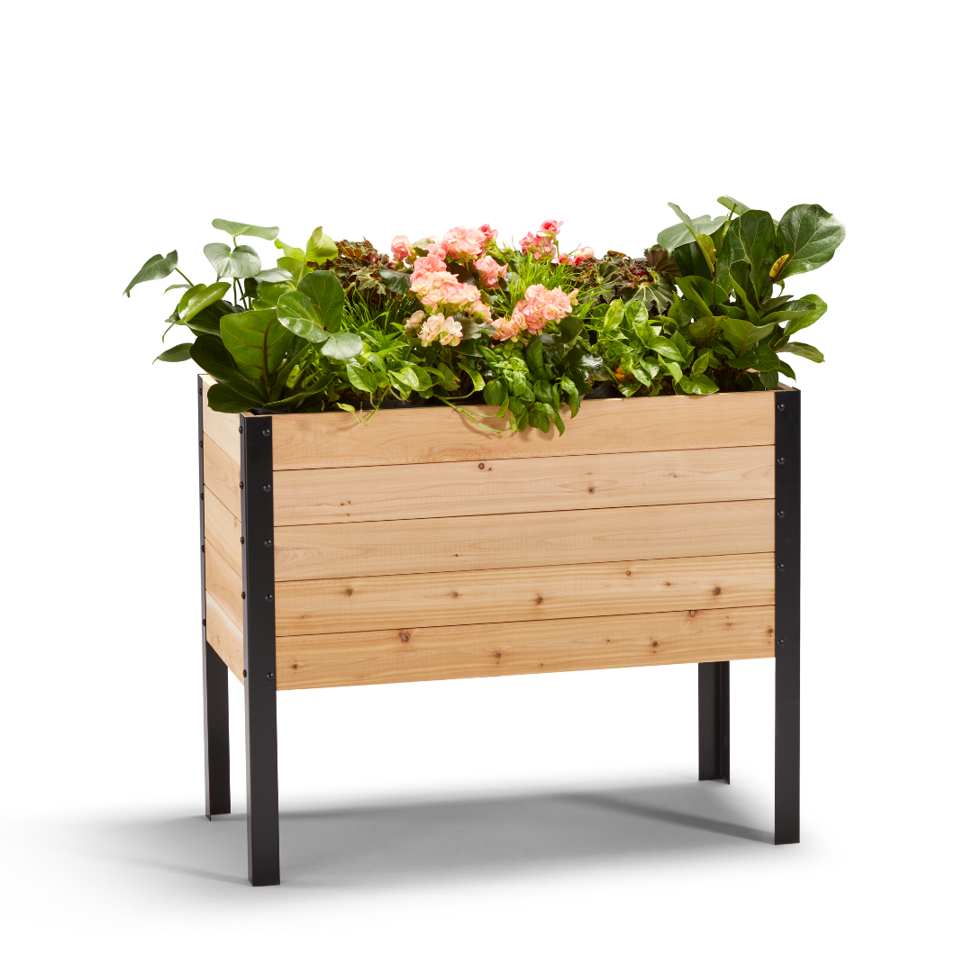 18″ x 36″ Deep Root Raised Garden Bed - 30″ TALL / Select Grade