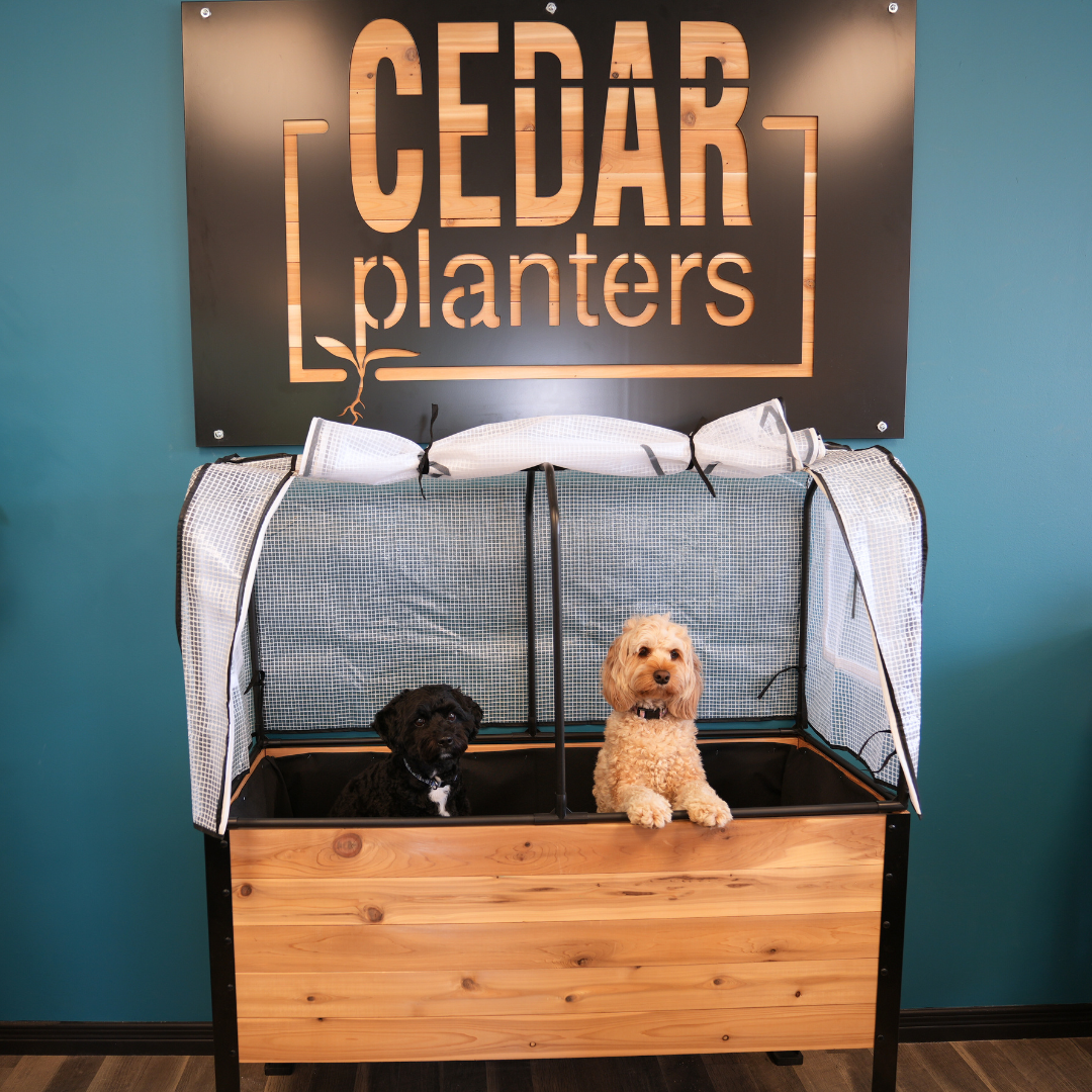 Greenhouse Cover | Planter Sizes