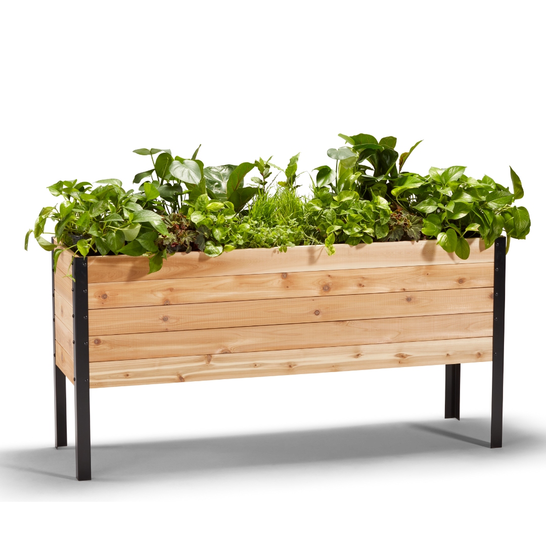 18″ x 60″ Deep Root Raised Garden Bed - 30″ TALL / Select Grade