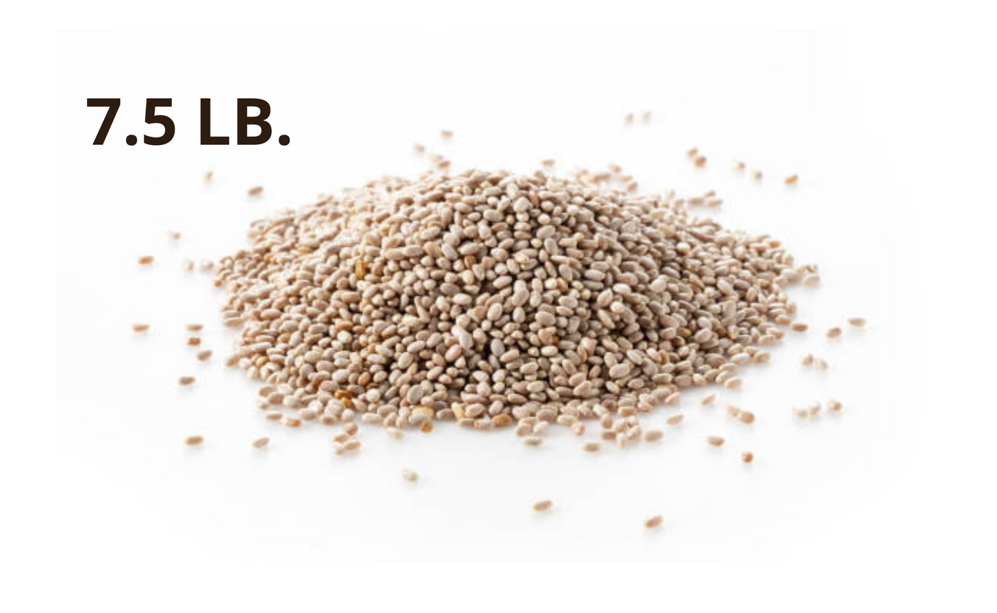 White Chia Seeds – Organic, Non-GMO | 7.5 lb. Bulk