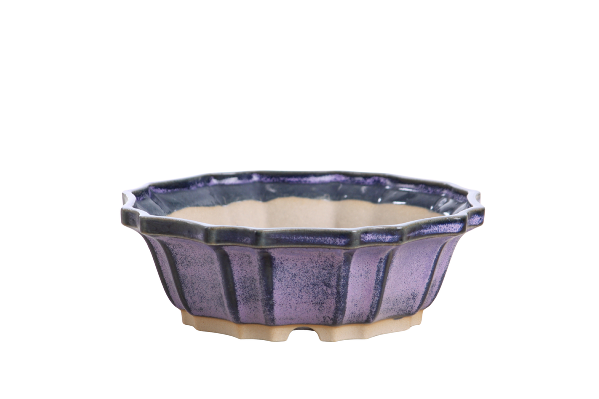 Flower Design Bonsai Pot 6.5 Inch – Elegant Ceramic Bonsai & Succulent Planter, High‑Fired Frost‑Proof Stoneware with Drainage & Wiring Holes, Handmade in USA (Purple)