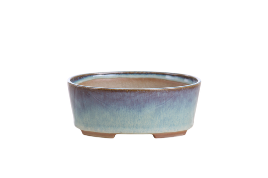 Willow Bonsai Ceramics Oval A Bonsai Pot – 5 Inch (Glacier)
