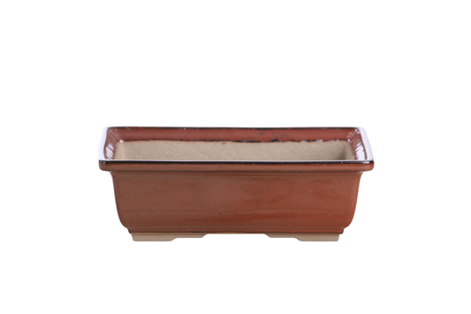 Willow Bonsai Ceramics Rectangle Bonsai Pot – 8 Inch (Sunset)
