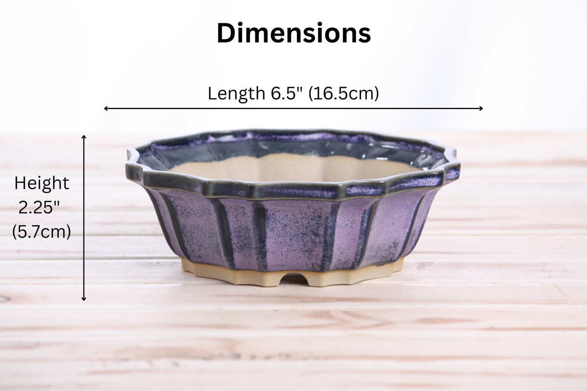 Flower Design Bonsai Pot 6.5 Inch – Elegant Ceramic Bonsai & Succulent Planter, High‑Fired Frost‑Proof Stoneware with Drainage & Wiring Holes, Handmade in USA (Purple)