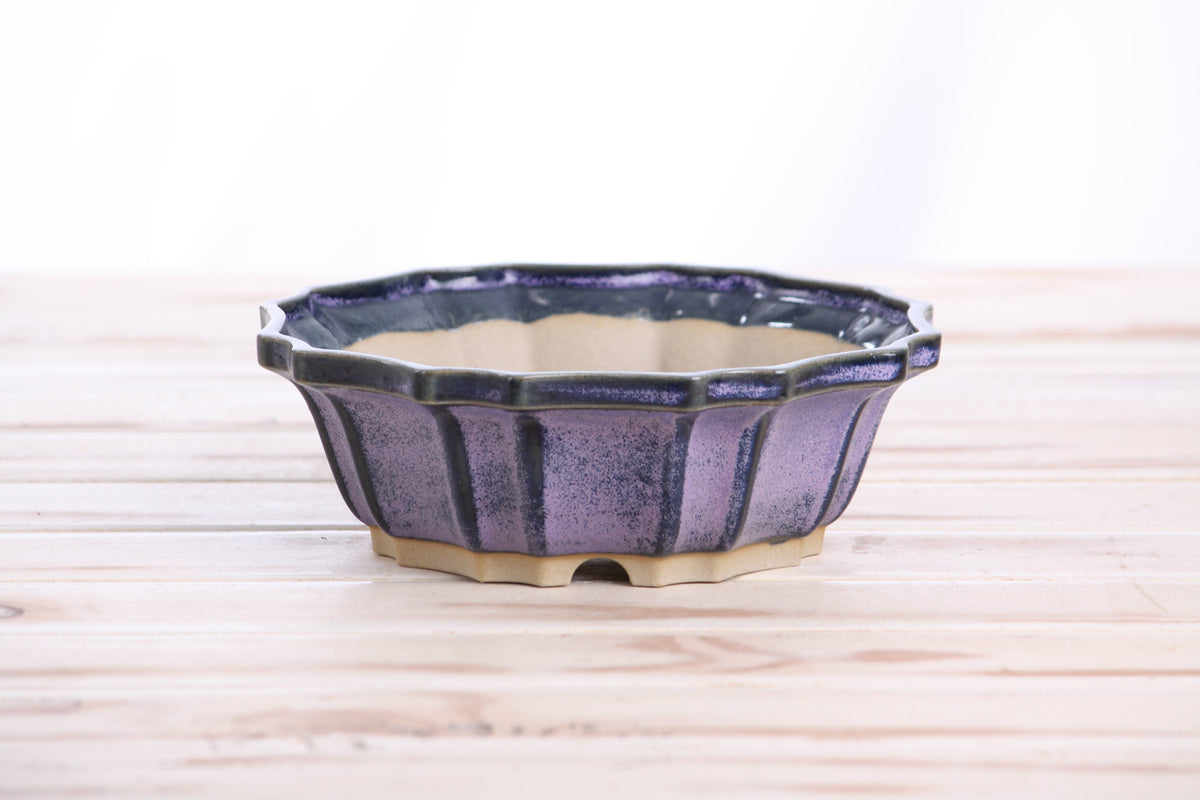 Flower Design Bonsai Pot 6.5 Inch – Elegant Ceramic Bonsai & Succulent Planter, High‑Fired Frost‑Proof Stoneware with Drainage & Wiring Holes, Handmade in USA (Purple)