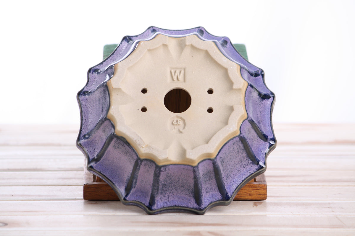 Flower Design Bonsai Pot 6.5 Inch – Elegant Ceramic Bonsai & Succulent Planter, High‑Fired Frost‑Proof Stoneware with Drainage & Wiring Holes, Handmade in USA (Purple)
