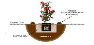 a diagram of a flower pot with roots and names
