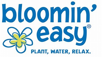 Pink Dynamo™ Mountain Hydrangea