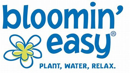 Tilt-A-Swirl® Bigleaf Hydrangea