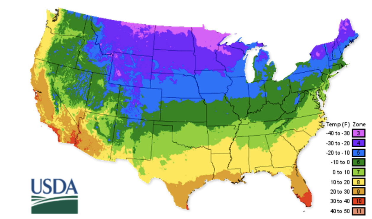 a map of the united states showing the average temperature