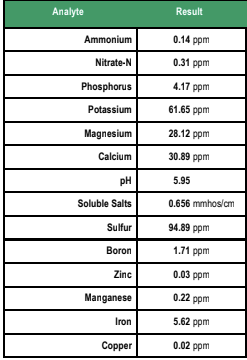 Calcined Clay 1/8"