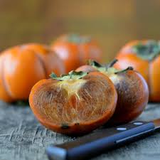 Chocolate Asian Persimmons | 4 Feet Tall Trees | Free Shipping!
