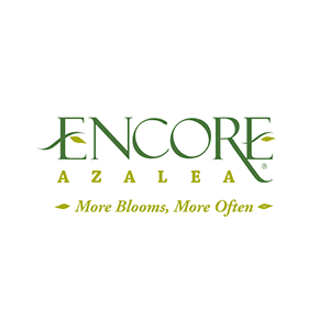 Autumn Embers® Encore® Azalea