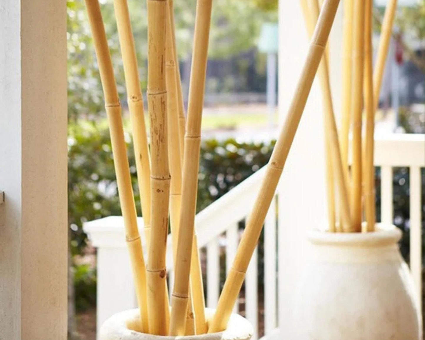 4-Foot Bamboo Garden Stakes (Set of 6) – Natural Plant Support for Vegetables, Flowers & Climbing Plants